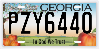 GA license plate PZY6440