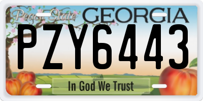 GA license plate PZY6443