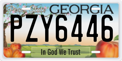 GA license plate PZY6446