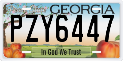 GA license plate PZY6447