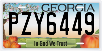 GA license plate PZY6449