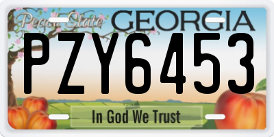 GA license plate PZY6453