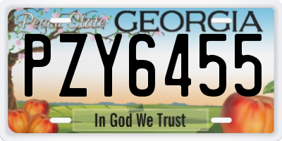 GA license plate PZY6455