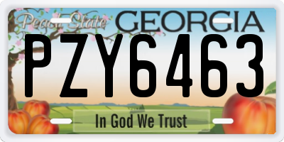 GA license plate PZY6463