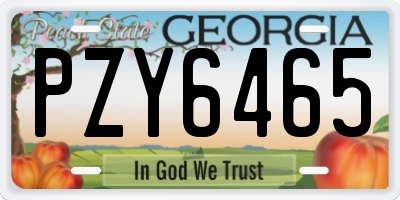 GA license plate PZY6465