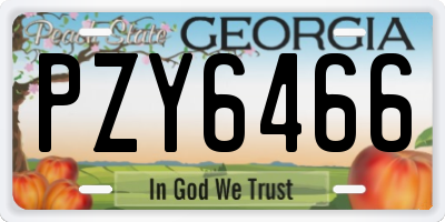 GA license plate PZY6466