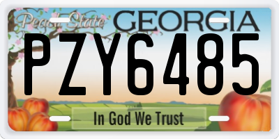 GA license plate PZY6485