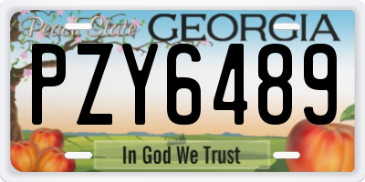 GA license plate PZY6489