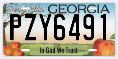 GA license plate PZY6491