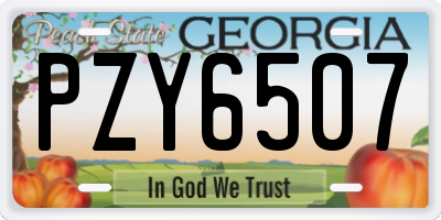 GA license plate PZY6507