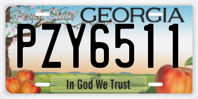 GA license plate PZY6511