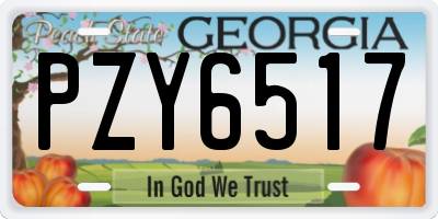 GA license plate PZY6517