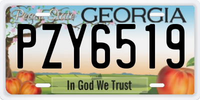 GA license plate PZY6519