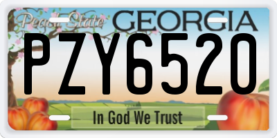 GA license plate PZY6520