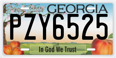 GA license plate PZY6525