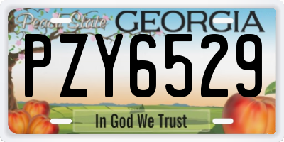 GA license plate PZY6529