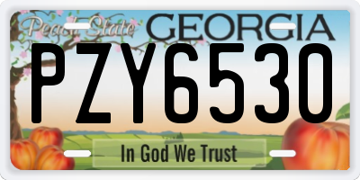 GA license plate PZY6530