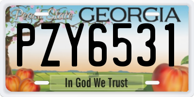 GA license plate PZY6531