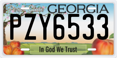 GA license plate PZY6533