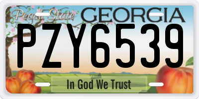 GA license plate PZY6539