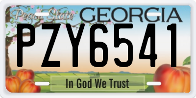 GA license plate PZY6541