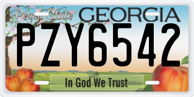 GA license plate PZY6542