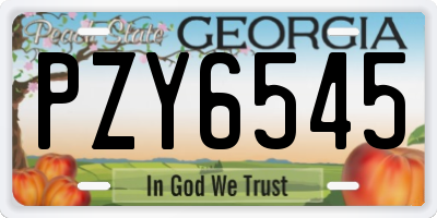 GA license plate PZY6545