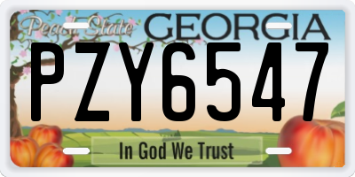 GA license plate PZY6547