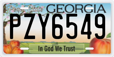 GA license plate PZY6549