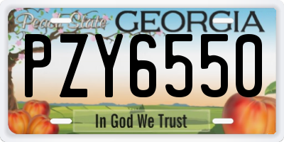 GA license plate PZY6550