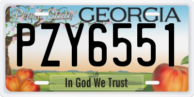 GA license plate PZY6551