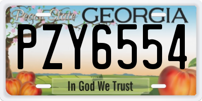 GA license plate PZY6554