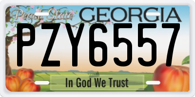 GA license plate PZY6557