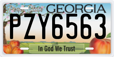 GA license plate PZY6563