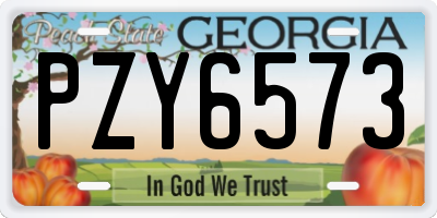 GA license plate PZY6573