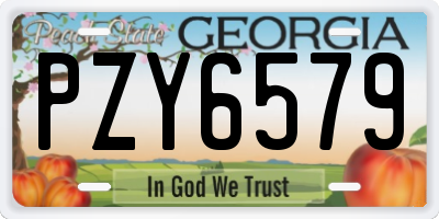 GA license plate PZY6579
