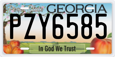 GA license plate PZY6585