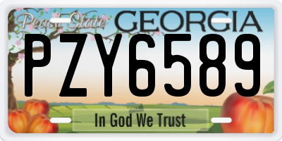 GA license plate PZY6589