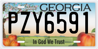 GA license plate PZY6591