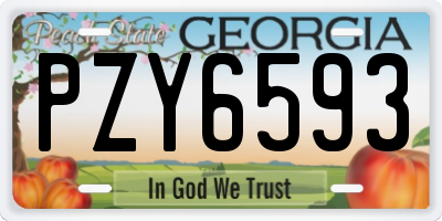 GA license plate PZY6593