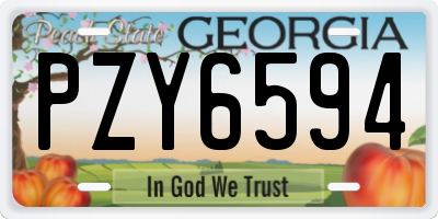 GA license plate PZY6594