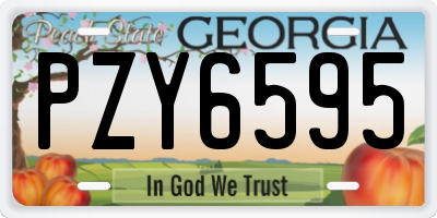 GA license plate PZY6595