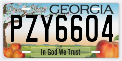 GA license plate PZY6604