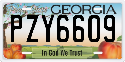 GA license plate PZY6609