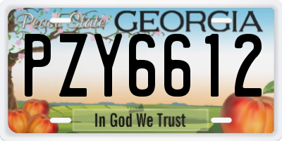 GA license plate PZY6612