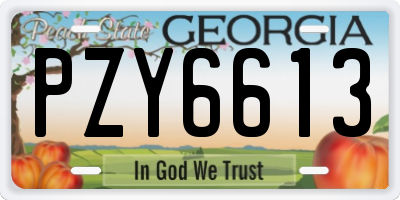 GA license plate PZY6613