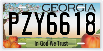 GA license plate PZY6618
