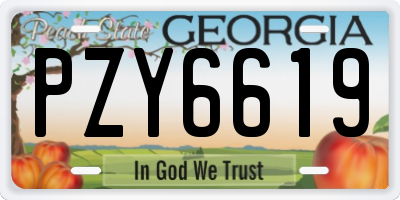 GA license plate PZY6619