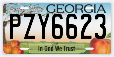 GA license plate PZY6623