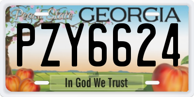 GA license plate PZY6624
